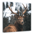 Tableau sur toile regard d'un cerf 65x65 cm