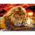 Princesse - Canevas antique Calin féroce Mimo Verdé 50x65cm