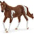Horse Club Jument Paint Horse