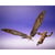 Godzilla X Kong: The New Empire - Pack 2 figurines S.H. Monster Arts Suko & Mothra - Bandai Tamashii Nations