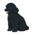 Chien Caniche Nain assis noir Taille standard | JEKCA | 14 ans et +