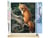 Peinture par Numéro Figured'Art - Renard dans les Fougères - Kit de Loisir Créatif DIY Numéro d'Art Complet - 40x50cm toile roulée + châssis en bois à monter