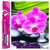 Diamond Painting Broderie Diamant LUMINLIFE 40x50cm, 100% strass, diamants ronds - Orchidées roses