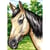 Princesse - Canevas antique Cheval 32x50 cm