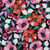 Tissu Jersey Coton digital Grandes fleurs vives sur fond Noir