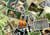Puzzle 500 pièces - Promenade au Zoo - Grafika