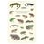 Longue vue editions - Grenouilles, tritons et salamandres - Affiche 40 x 60 cm