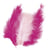 Mélange de plumes duvetées, rosé / rose foncé, 10 - 15 cm, 15 pièces