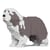 Chien Bearded Collie gris clair Taille standard | JEKCA | 14 ans et +