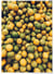 Poster Nature Fruits | A3 : 29,7x42cm