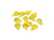 10 Minis breloques fines coquillage 8*6mm Acier inoxydable doré