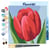 Mini Peinture par Numéro Figured'Art 20x20cm avec cadre Tulipe Rouge - Petit Format