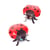 COCCINELLES
