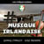 Les indispensables : musique irlandaise - CD
