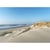 Tableau sur toile dune littoral 65x97 cm
