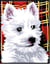 Kit canevas blanc Westie 20x25cm