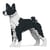 Chien Basenji noir Taille standard | JEKCA | 14 ans et +
