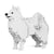 Chien Spitz Japonais Taille standard | JEKCA | 14 ans et +