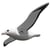 Eugy 3D Modèle: OISEAU / ALBATROS ROYAL 12,2x31,9x3,2cm, en carton, en boîte, 6+