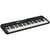 CT-S300 Casiotone Casio