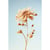 Tableau sur toile fleur 30x45 cm