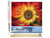 Peinture par Numéro Figured'Art - Tournesol artistique - Kit de Loisir Créatif DIY Numéro d'Art Complet - 40x50cm toile roulée + châssis en bois à monter