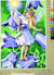Canevas antique Fée des campanules 40x50cm
