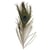 Plume de paon, 25 cm, 3 pces