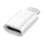 Blue Star Mini Adaptateur USB-C vers Micro-USB pour Charge et Synchronisation Argent