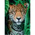 Puzzle jaguar dans la foret 500 pieces - collection sauvages - clementoni - 35127