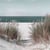 Tableau sur toile Plage et Roseaux 65x65 cm
