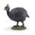 Figurine Pintade - Papo