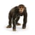 14883  Figurine Chimpanze