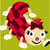 LUC - Kit canevas Soudan Chenille 20x20cm