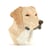 Labrador Bust 01 Taille standard | JEKCA | 14 ans et +