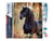 Diamond Painting Broderie Diamant Figured’Art 40x50cm toile entière roulée avec diamants carrés - Jument noire