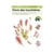 Miniguide 73 - Flore des tourbières