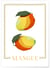 Affiche Abstract Mangue | A3 : 29,7x42cm