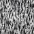 Tissu Jersey Milano lignes blanches sur fond Noir