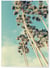 Poster Palm Trees 7 | A3 : 29,7x42cm