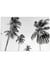 Affiche Palm Trees 8 | A3 : 29,7x42cm