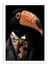 Affiche 30 x 40 cm - Toucan Wild Suits - Philippe Hugonnard