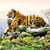 Lot de 4 serviettes en papier découpage collage 33 cm TIGRE A 314