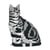 Chat American Shorthair assis | JEKCA | 14 ans et +