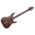 C-1 Exotic Ebony Schecter