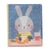 Livre a eau magique Lapin - Taf Toys