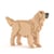 Chien Golden Retriever la queue en l'air beige Taille standard | JEKCA | 14 ans et +