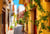 Puzzle 1000 pièces - Voyage en Crète, Grèce - Alipson Puzzle