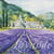 Lot de 4 serviettes en papier découpage collage 33 cm CHAMP DE LAVANDE