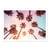 Affiche 50x70 cm - Beverly Hills Sunset Palms - Philippe Hugonnard